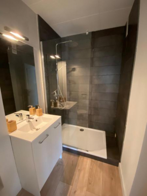 Appartement T2 refait à neuf et fonctionnel